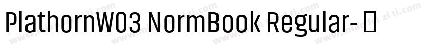 PlathornW03 NormBook Regular字体转换